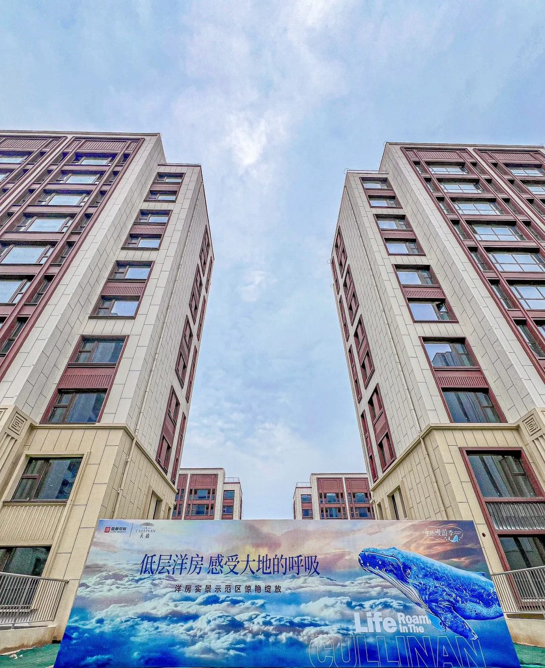 石家庄买楼送小院还送了下跃！太值了