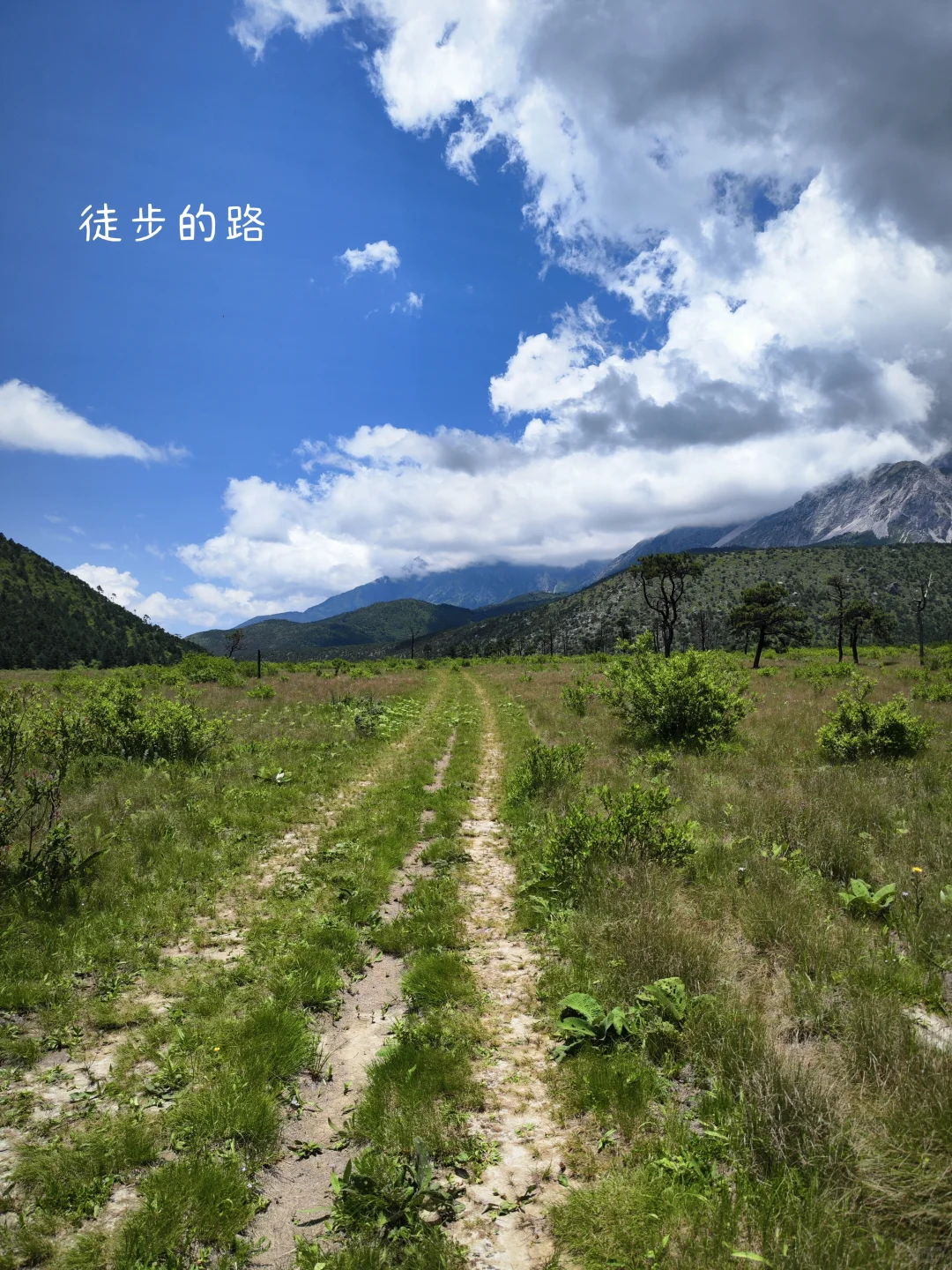 一个人云南丽江买房定居两年了，说点实在的