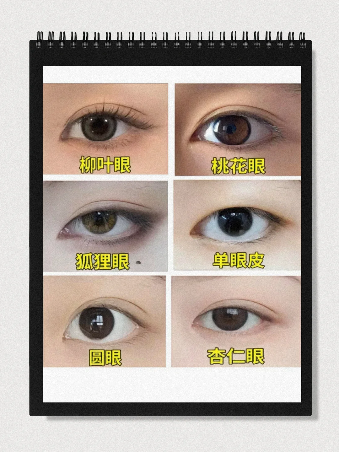 眼型自测，快看看有没有你熟悉的眼睛!