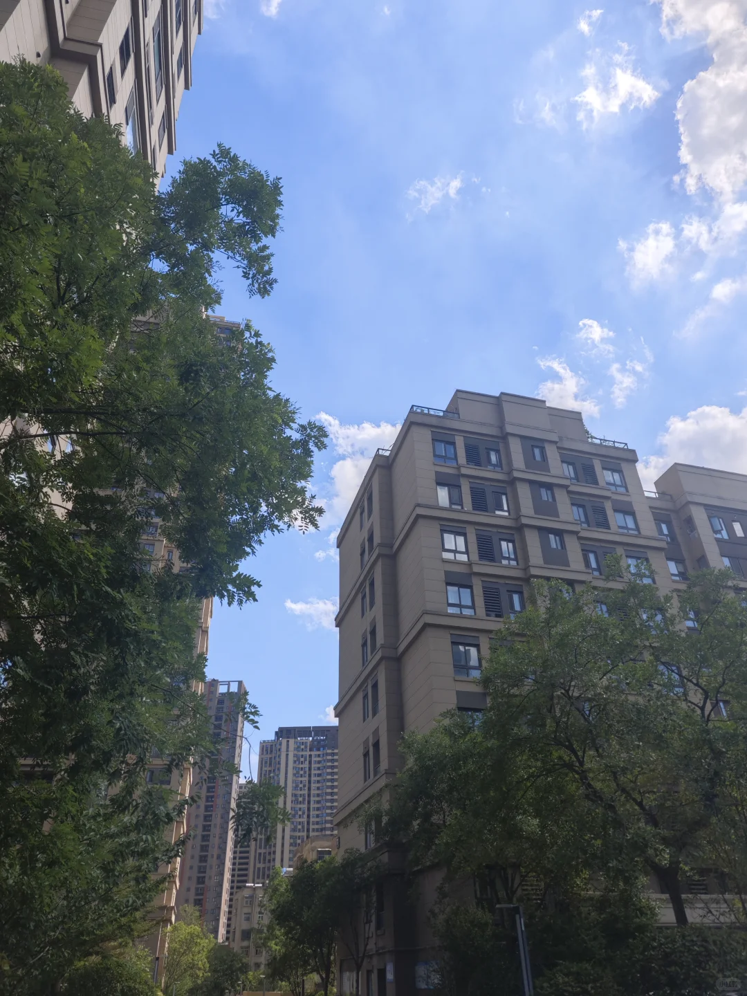 重生之我是徐州市中心洋房等待新主人