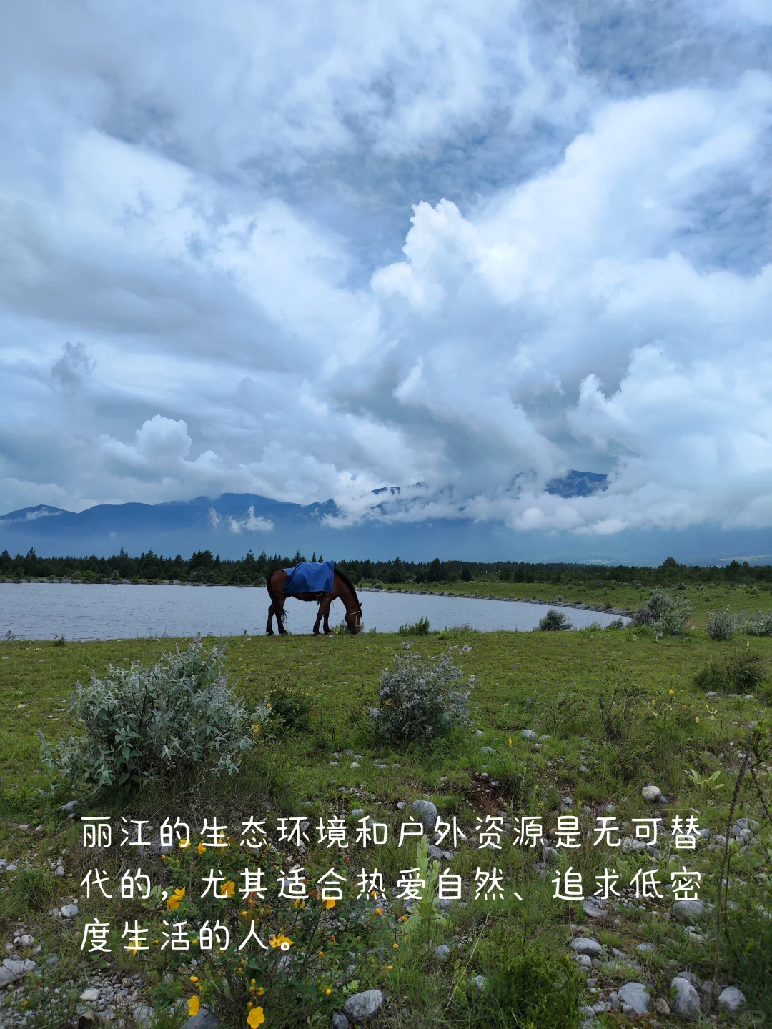 一个人云南丽江买房定居两年了，说点实在的