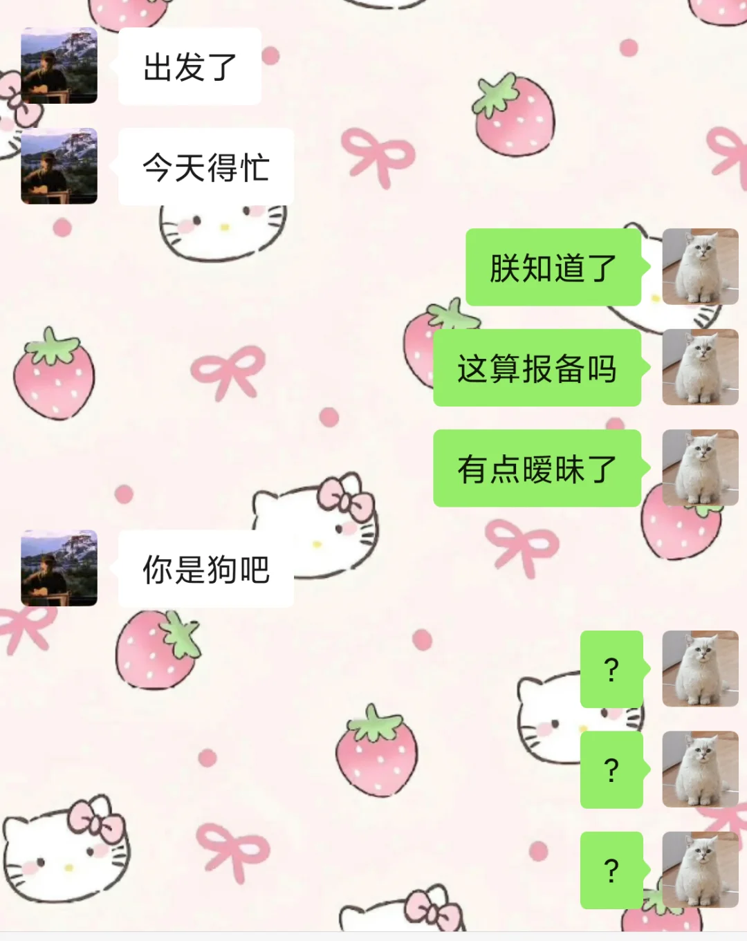 《猫怎么一直响》人类版1 抛媚眼给瞎子看