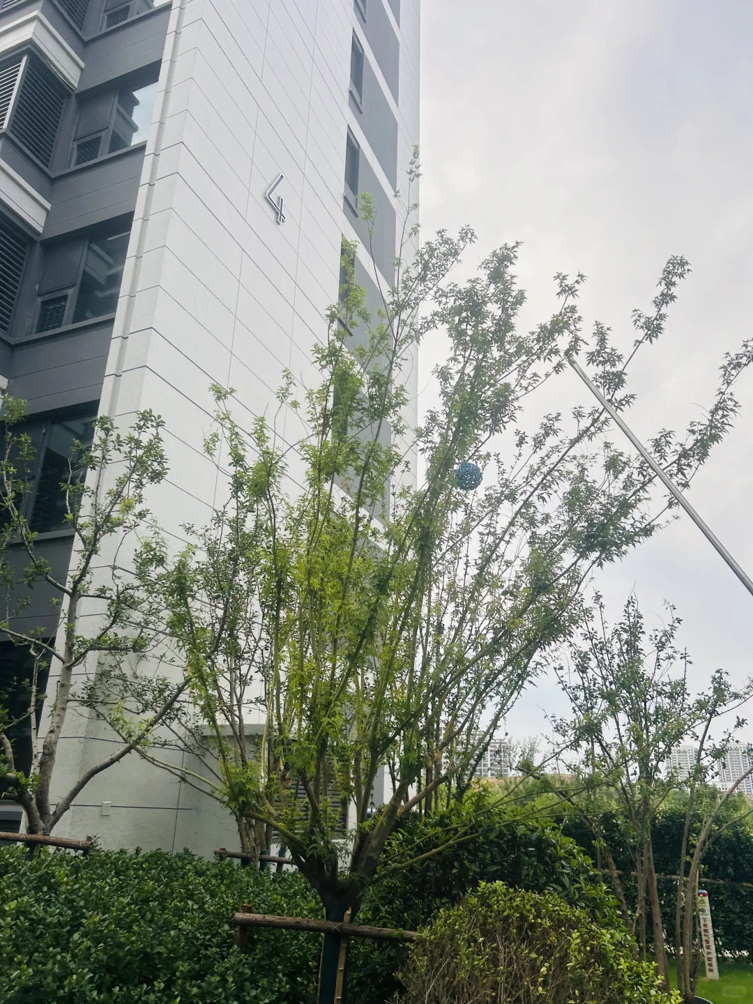 交房倒计时啦！！！！