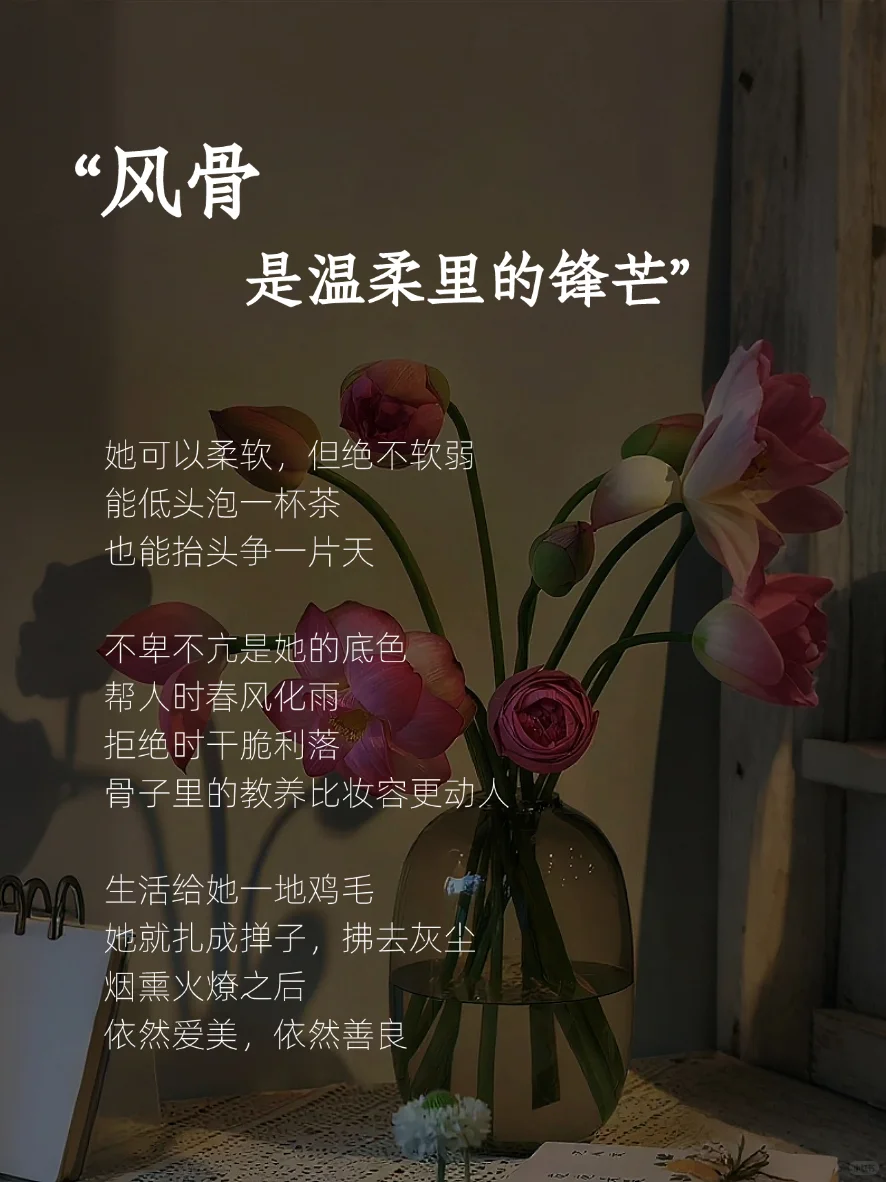 女人有了风骨，便是尤物✨