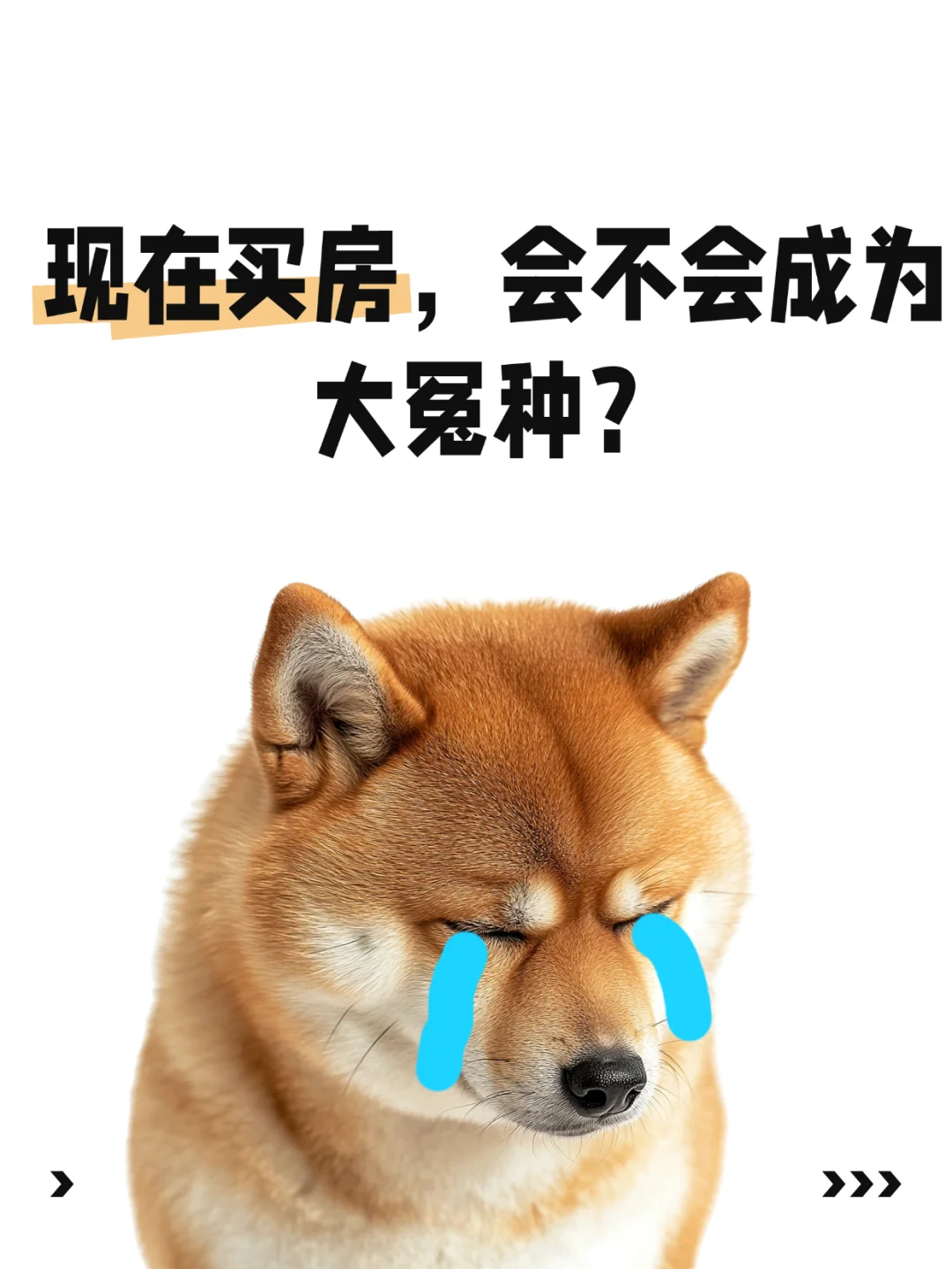 现在买房，会不会成为大冤种？