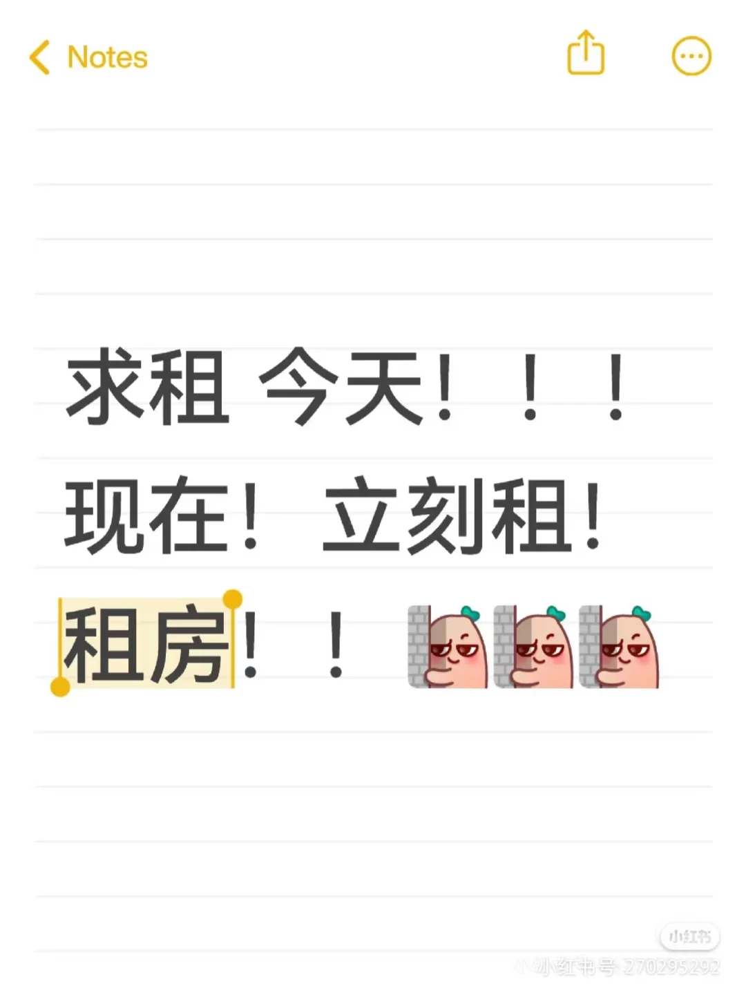 找房子！出租屋！求租 今天！！！现在！