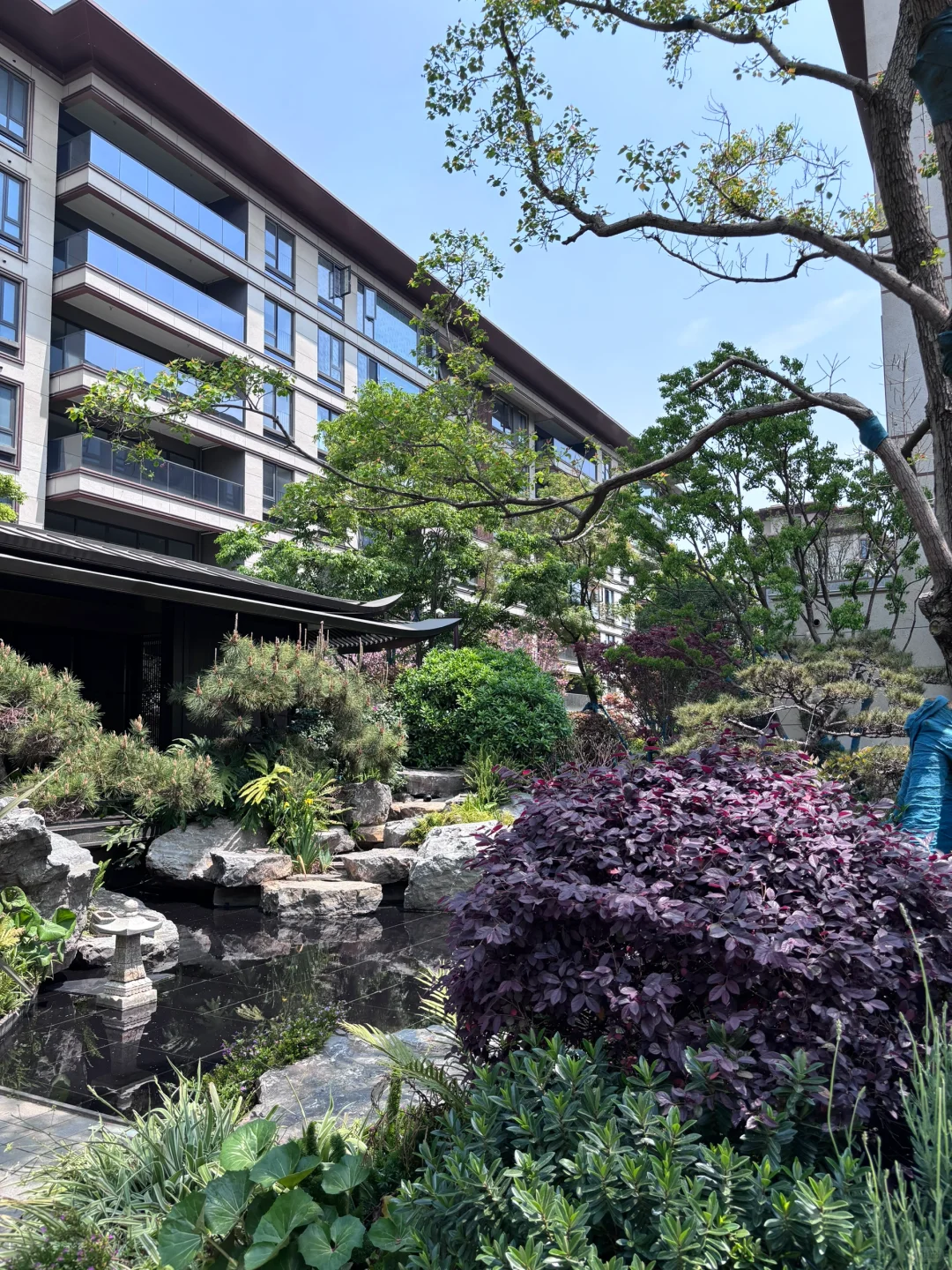 海埂大坝旁，低密洋房🏡独享滇池洼地！