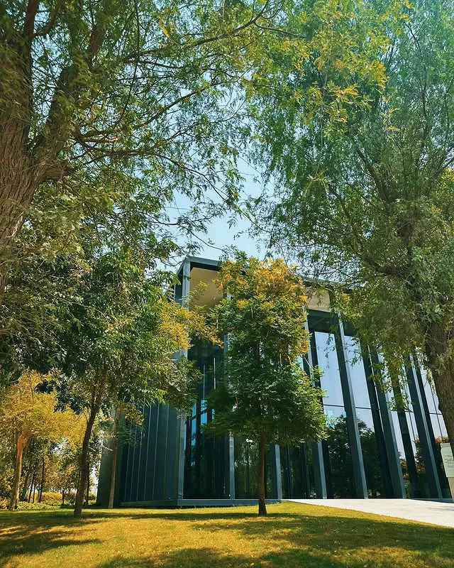 除了Emaar，这些有背景的开发商也值得注意