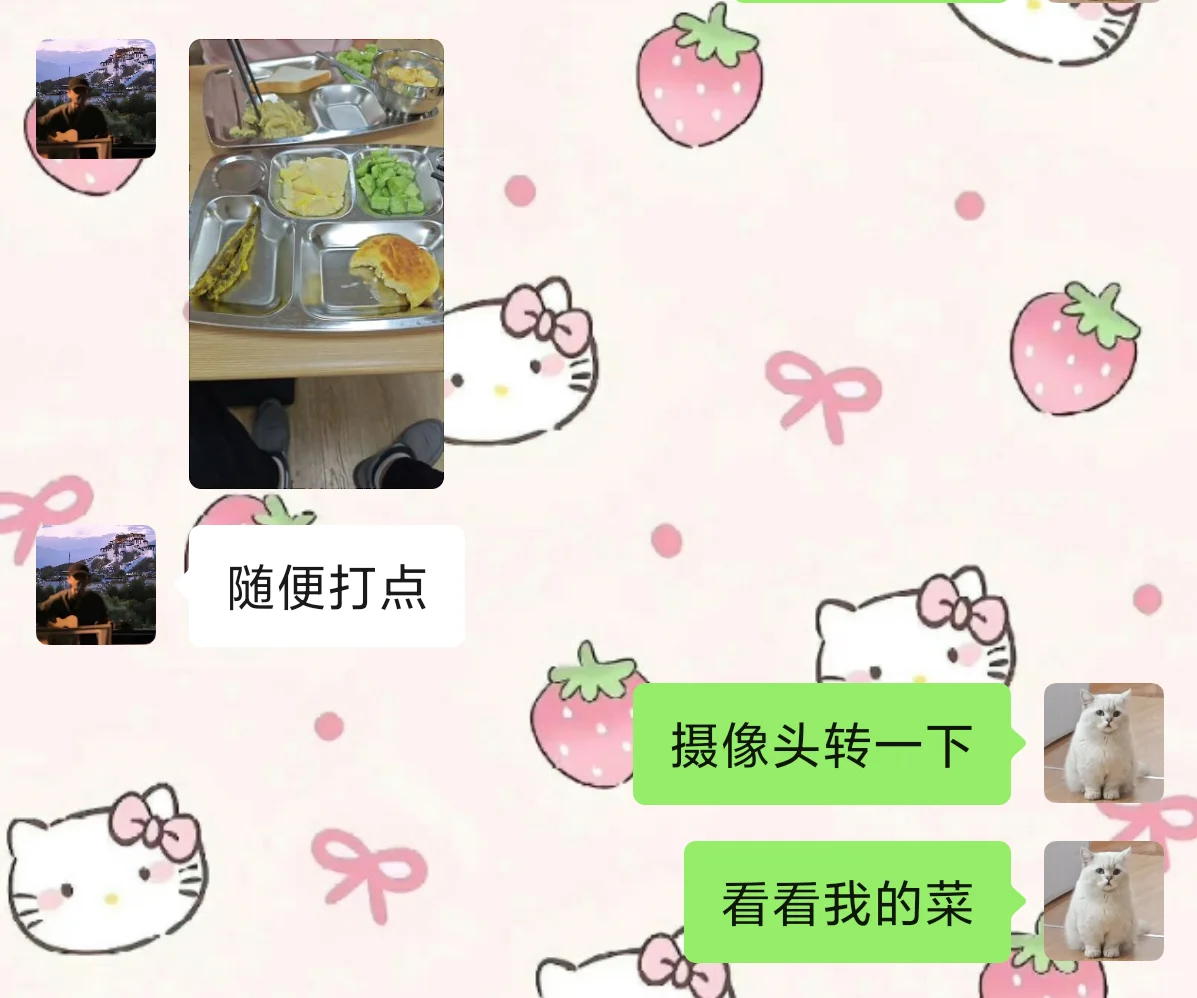 《猫怎么一直响》人类版2