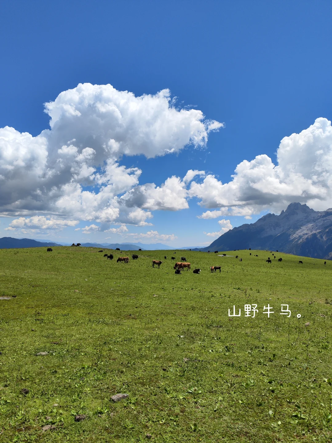 我时常都觉得幸福，常常笑出了声