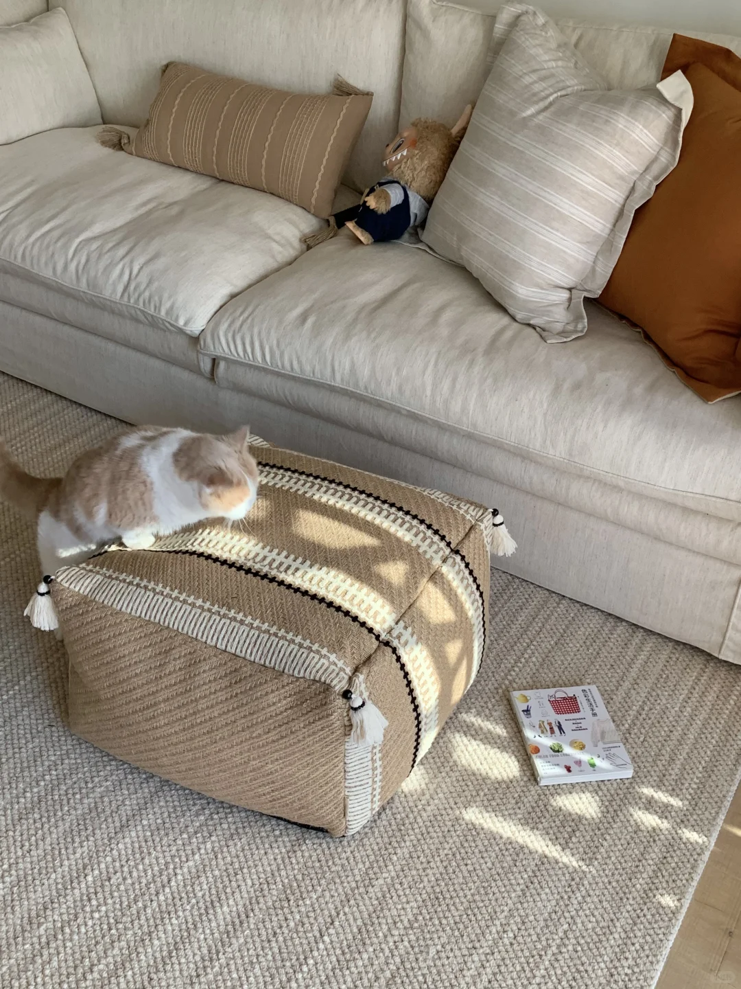 翻遍小红书，就想抄这套房子🏠！
