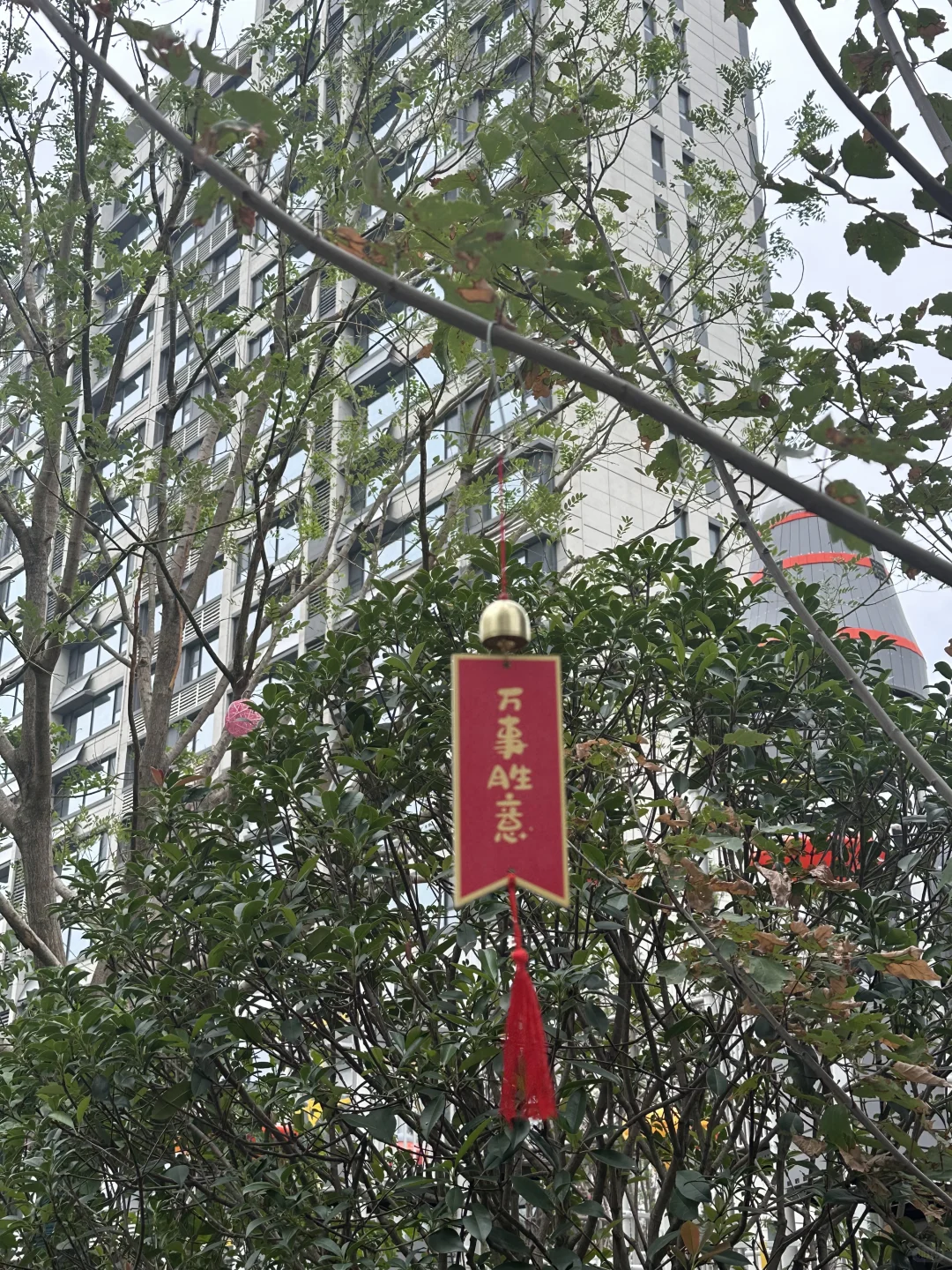 新房，我们到家啦🎉🎉🎉