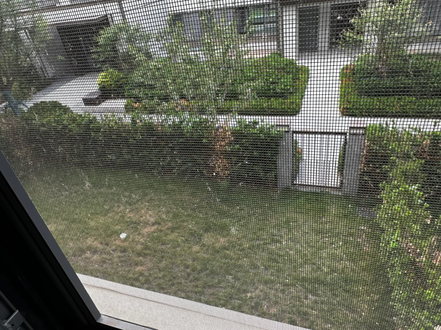 在济南，还是选择了...