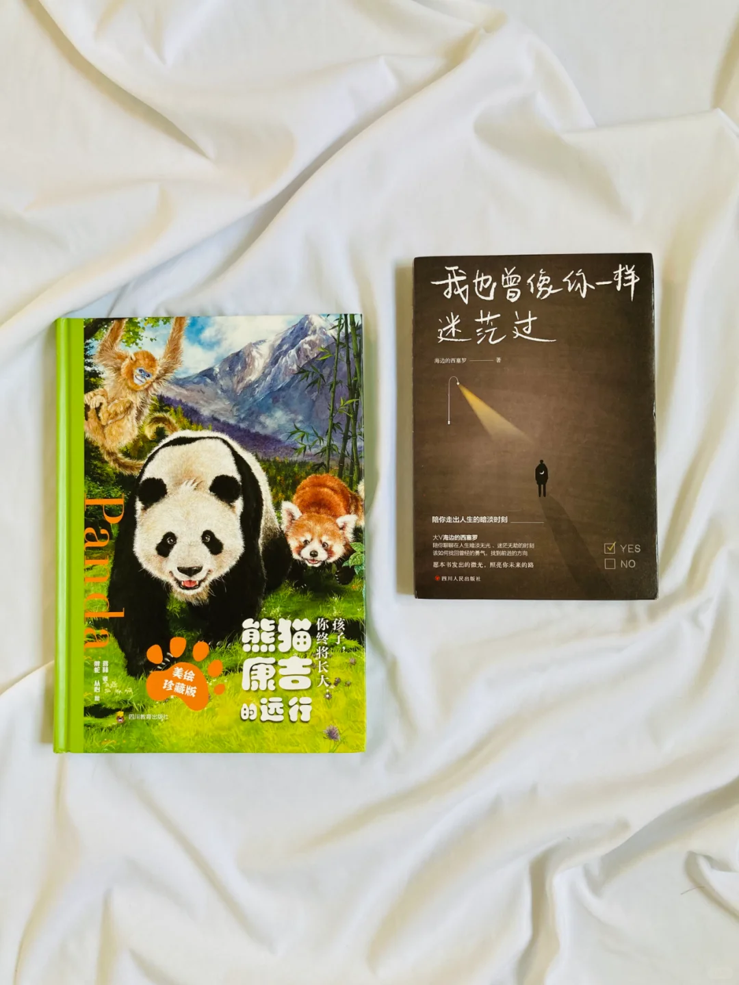 宠粉赠书丨送你一本纸质书~