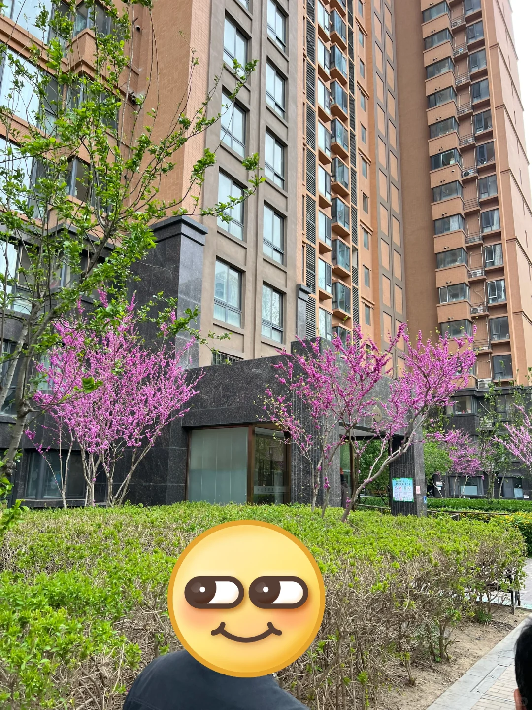 筑华年
