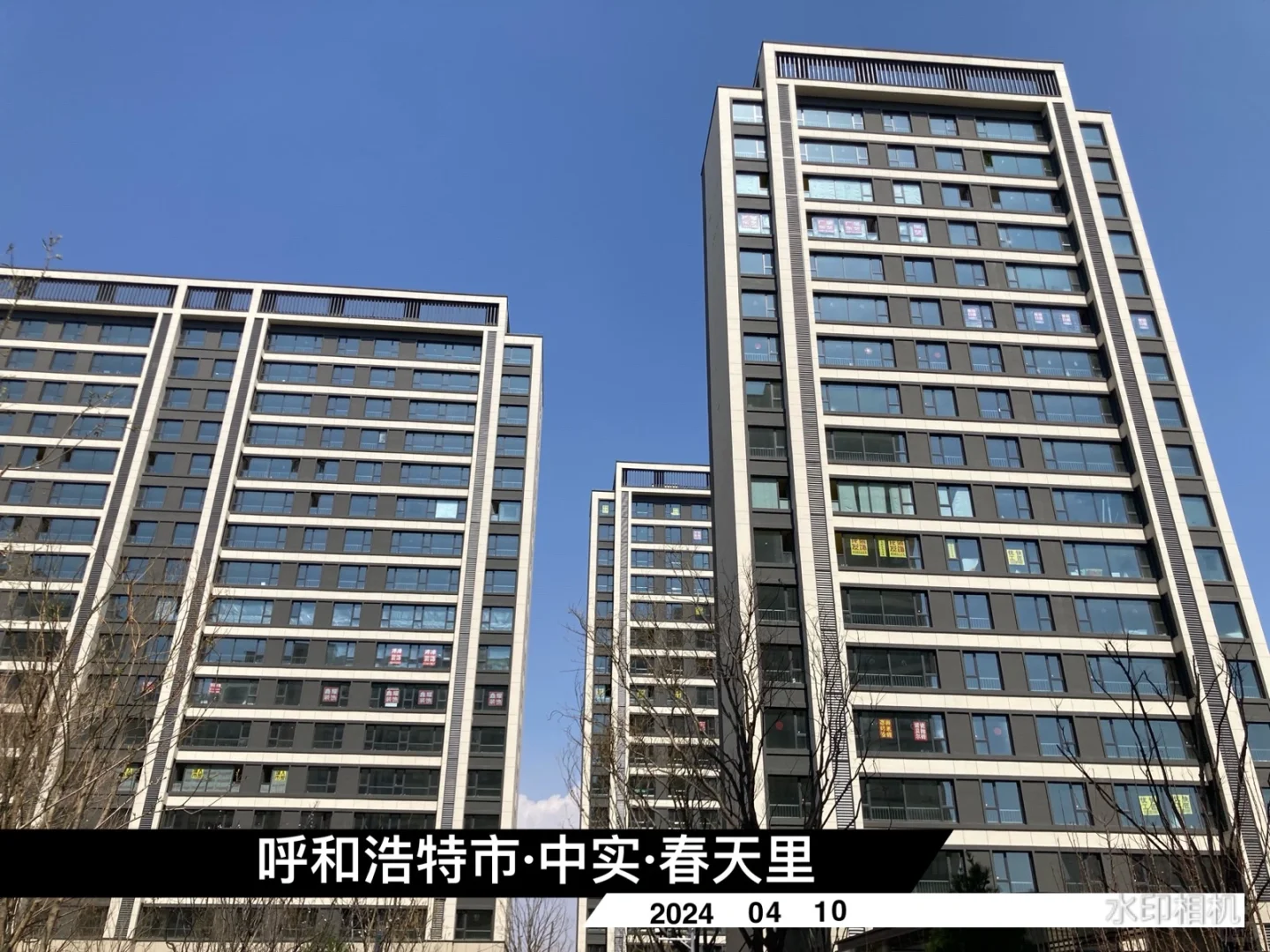 中规中矩的，中实春天里