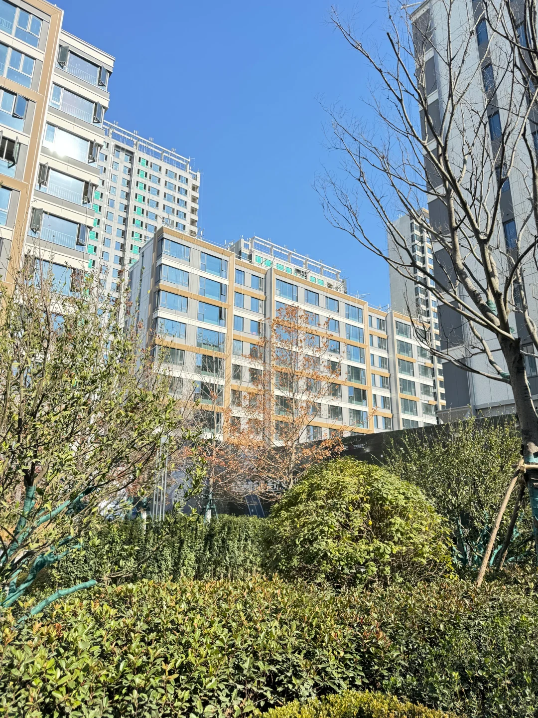 单价1.3万小洋房，合肥市区产证