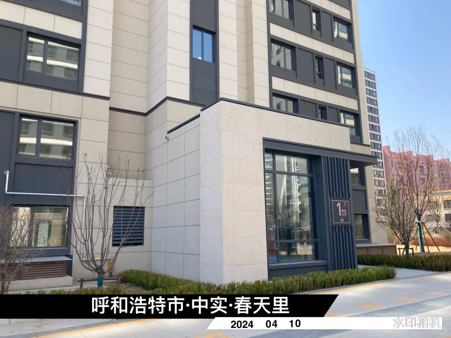 中规中矩的，中实春天里