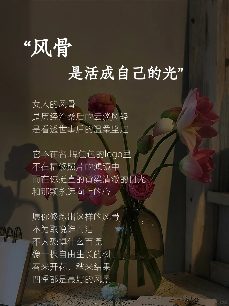 女人有了风骨，便是尤物✨