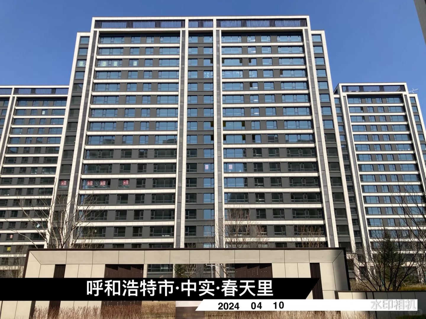 中规中矩的，中实春天里