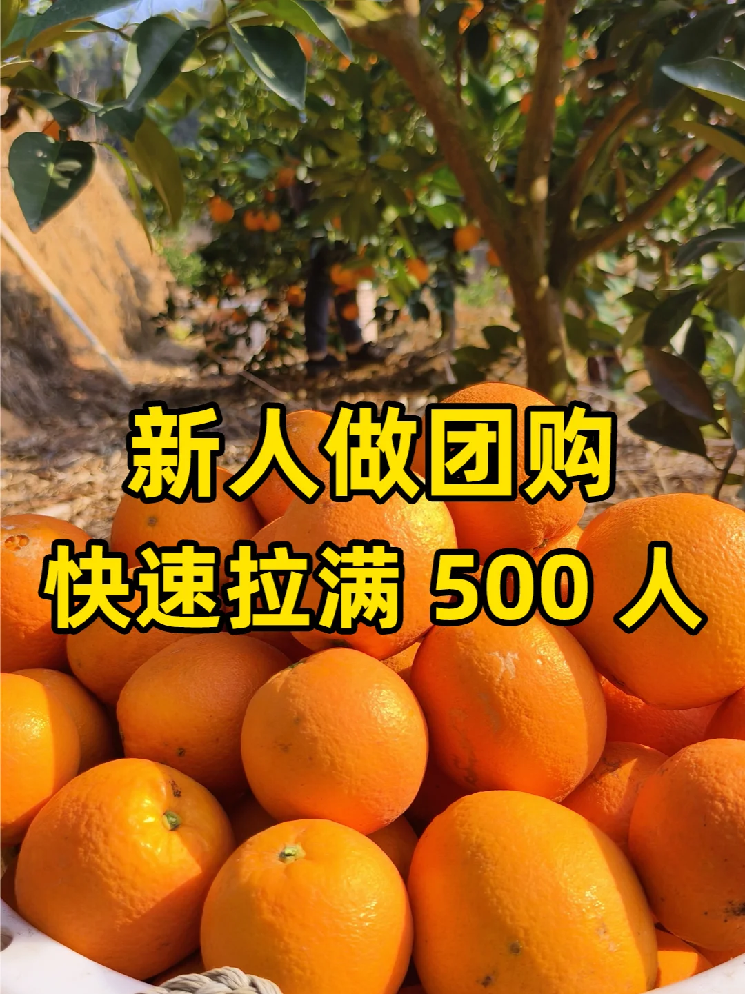 新人做团购，如何快速拉满 500 人