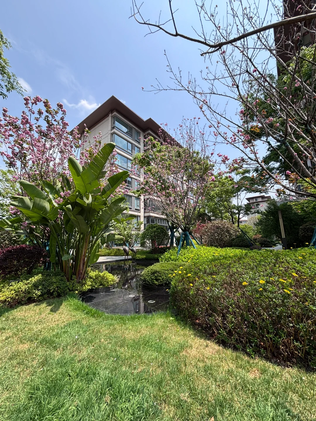 海埂大坝旁，低密洋房🏡独享滇池洼地！