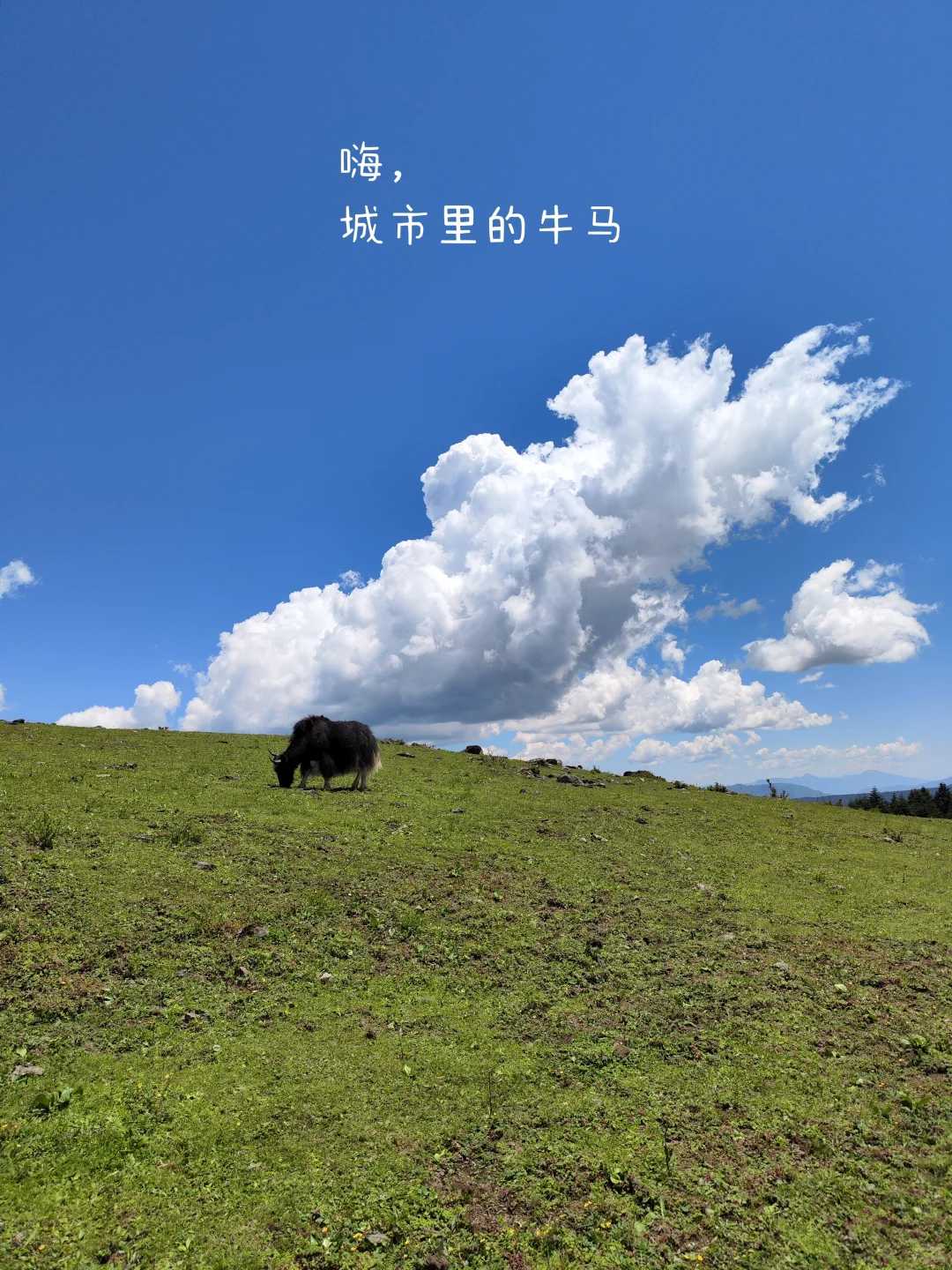 我时常都觉得幸福，常常笑出了声