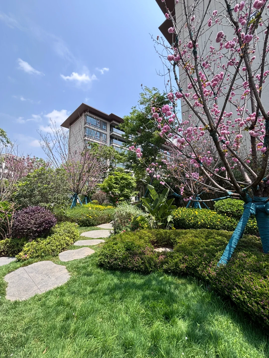 海埂大坝旁，低密洋房🏡独享滇池洼地！
