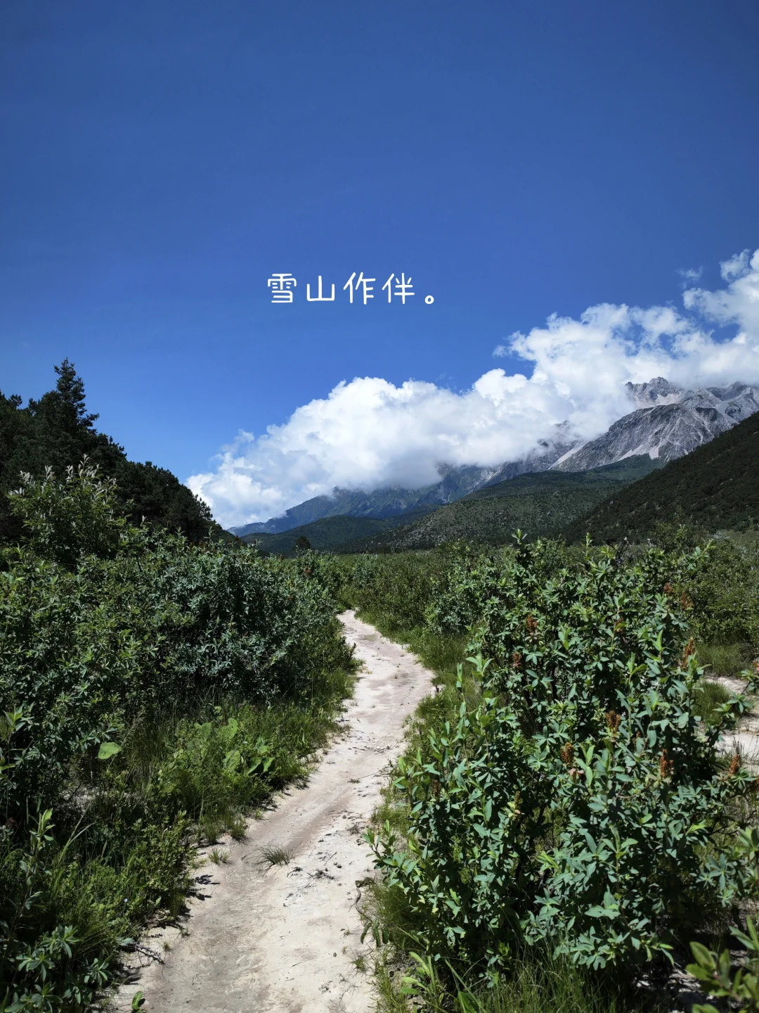 我时常都觉得幸福，常常笑出了声