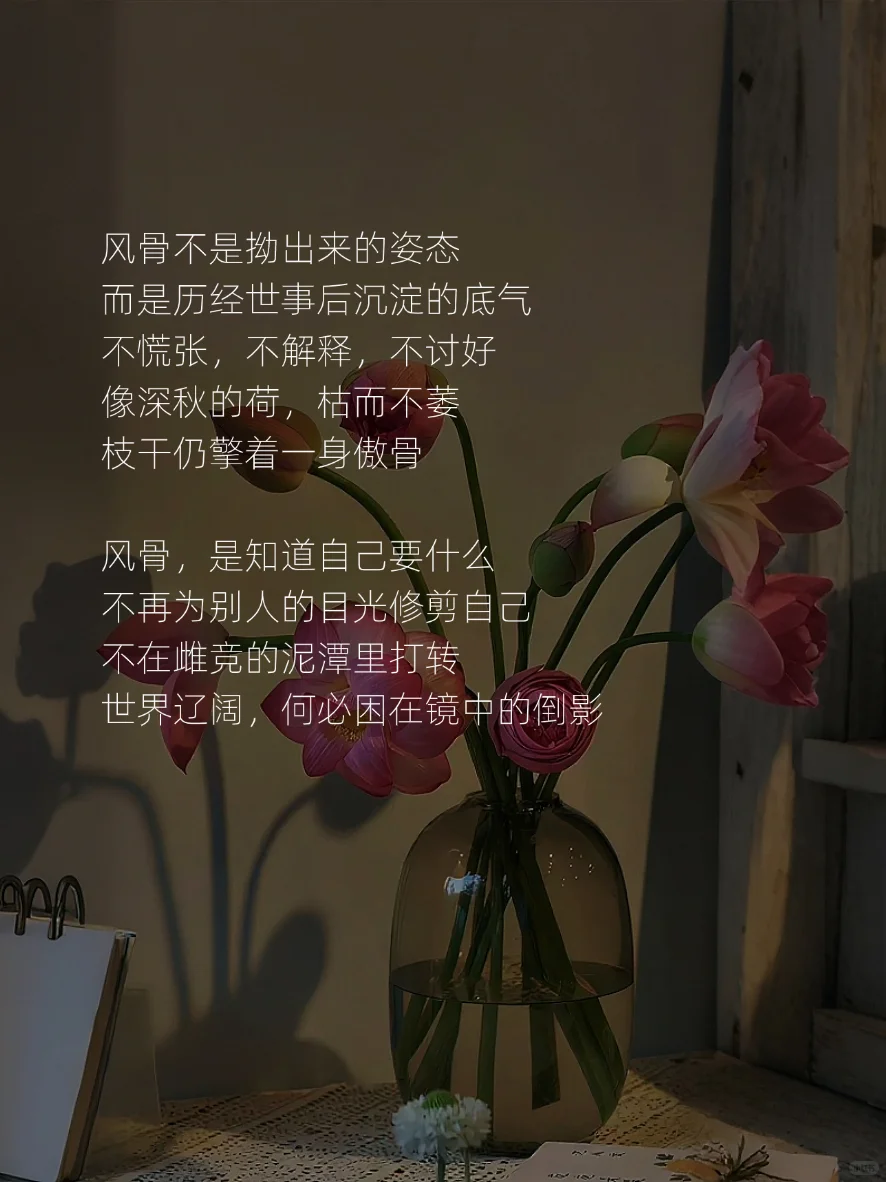 女人有了风骨，便是尤物✨
