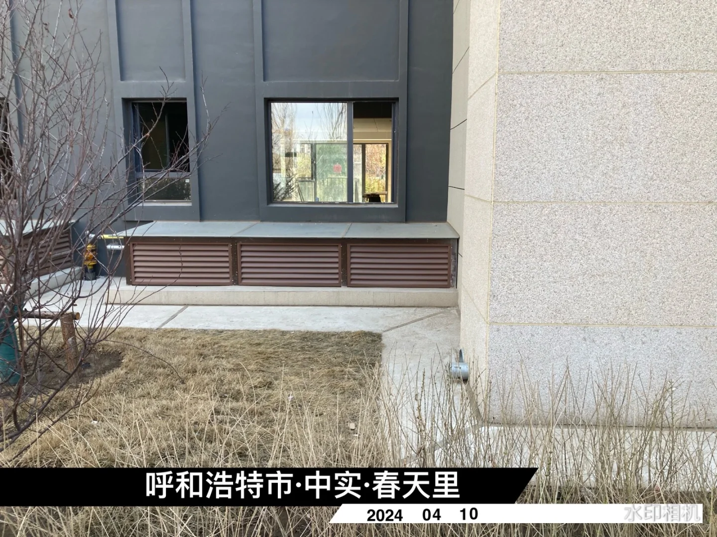 中规中矩的，中实春天里