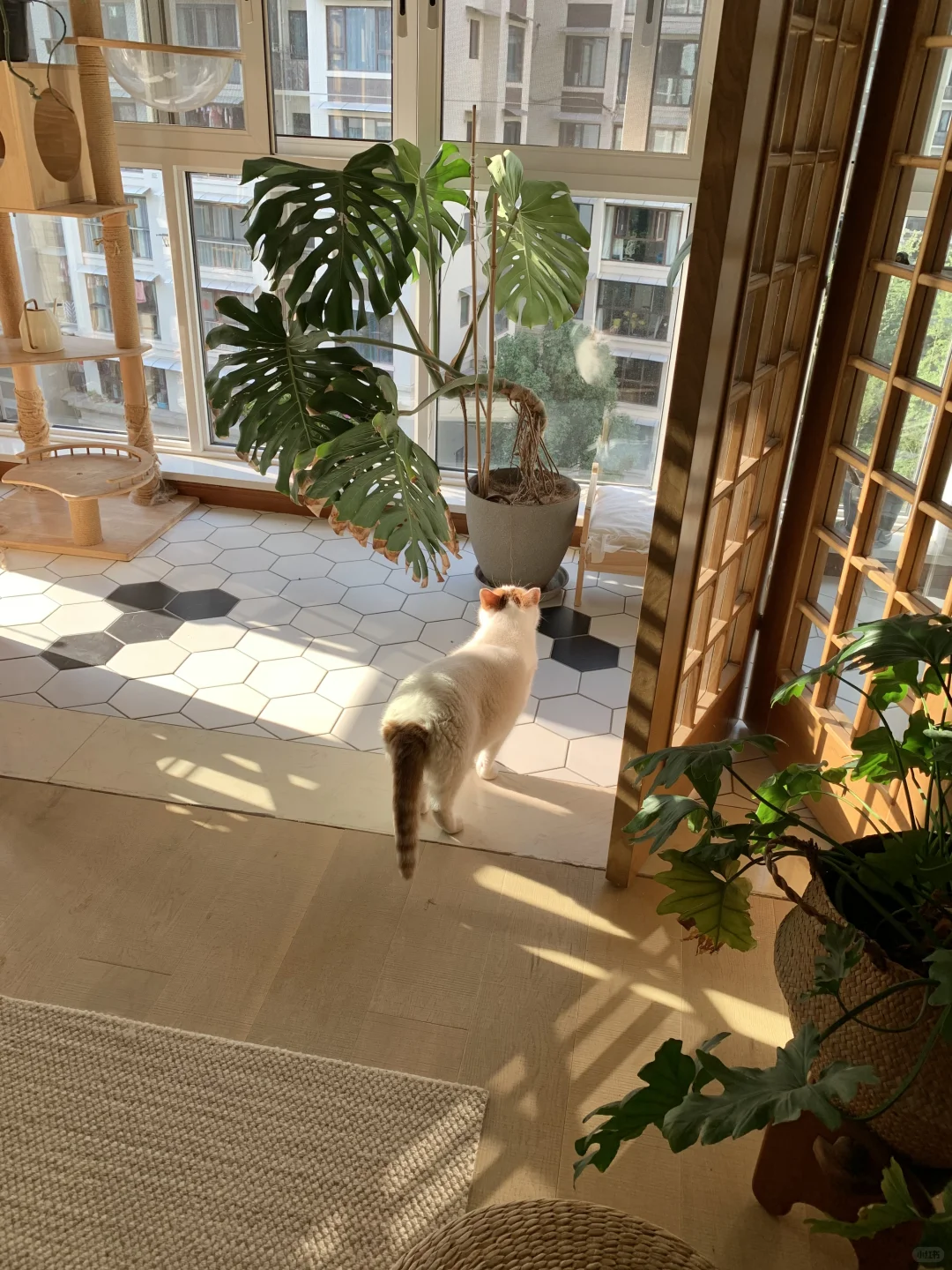 翻遍小红书，就想抄这套房子🏠！