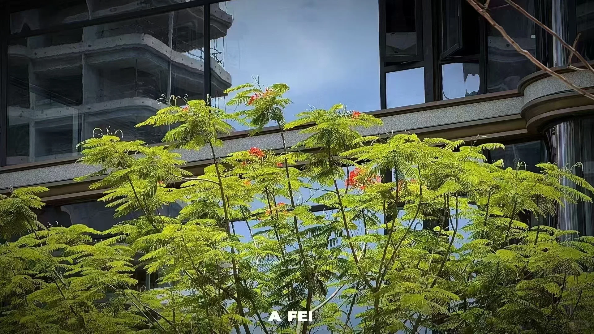 小鸡村蜕变成“凤凰”村？兴宁区的天花板楼盘？