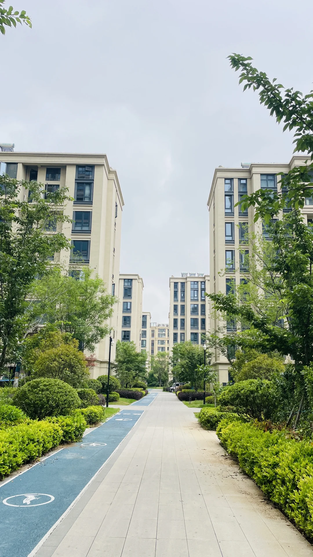 临沂市洋房，房价统计如下：