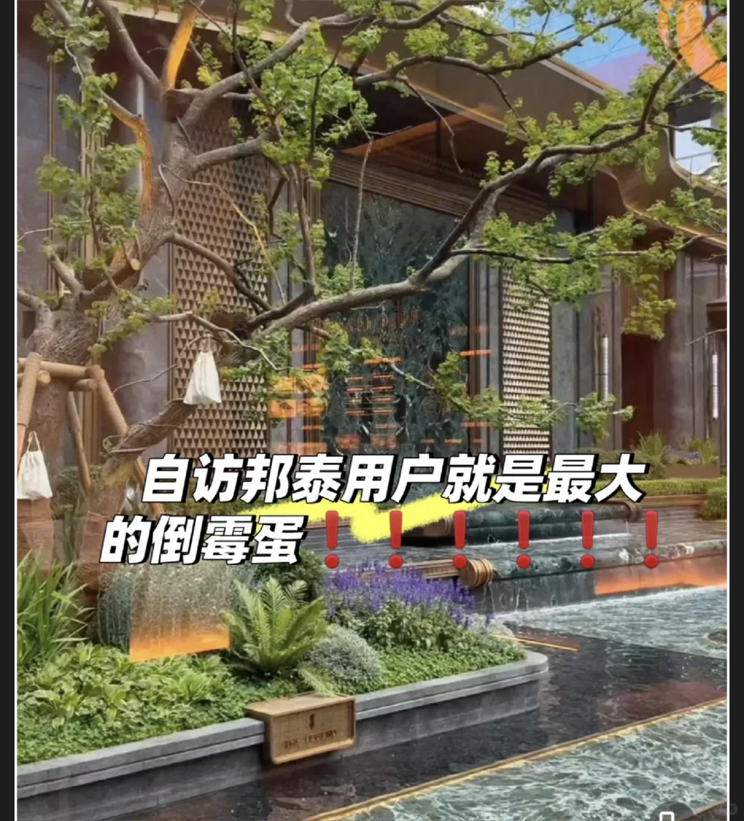 感觉自访邦泰才是真正的倒霉蛋呢？