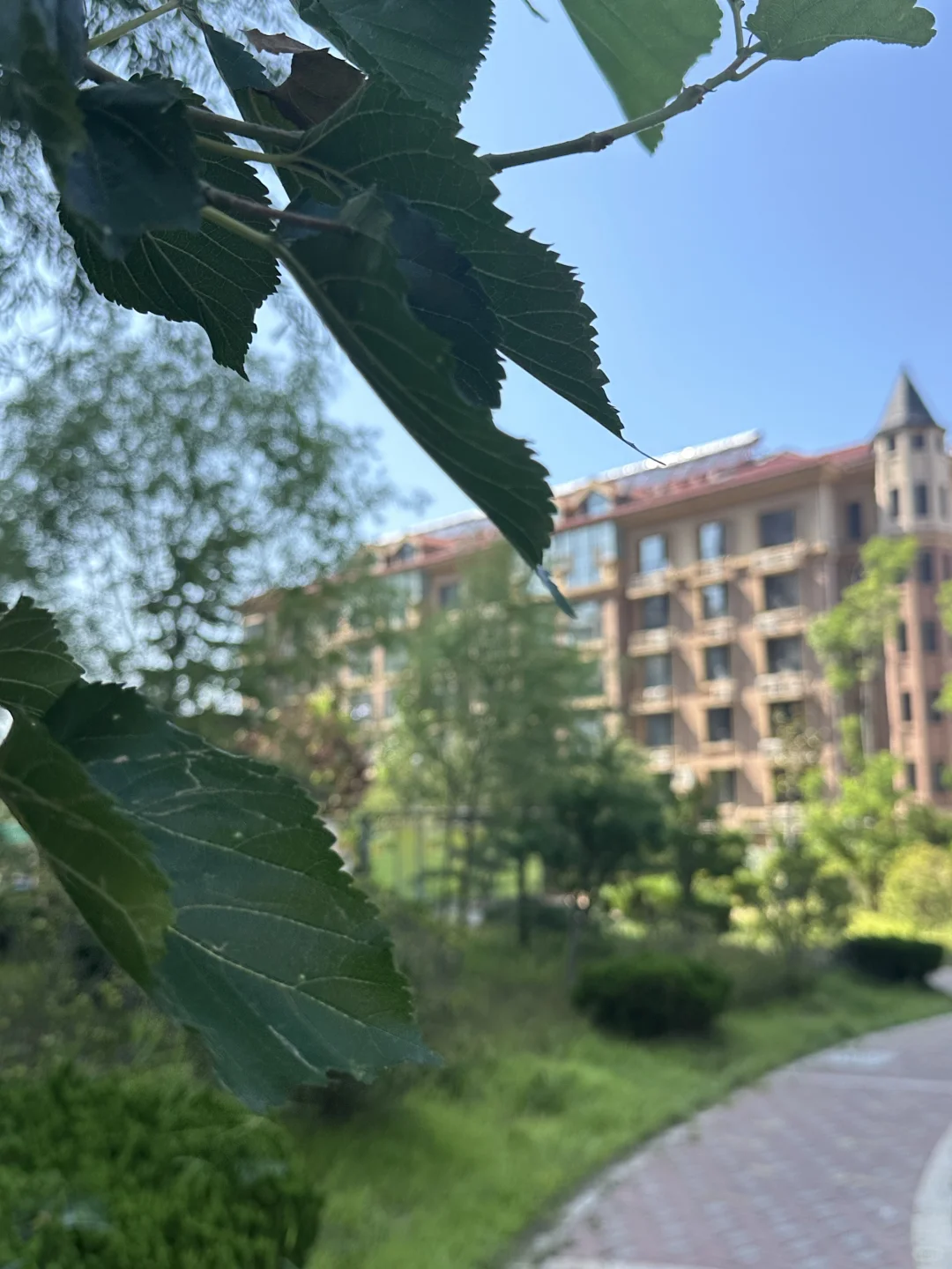 烟台芝罘｜80万南大街电梯3室洋房省20万装修