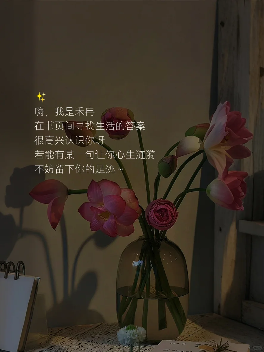女人有了风骨，便是尤物✨
