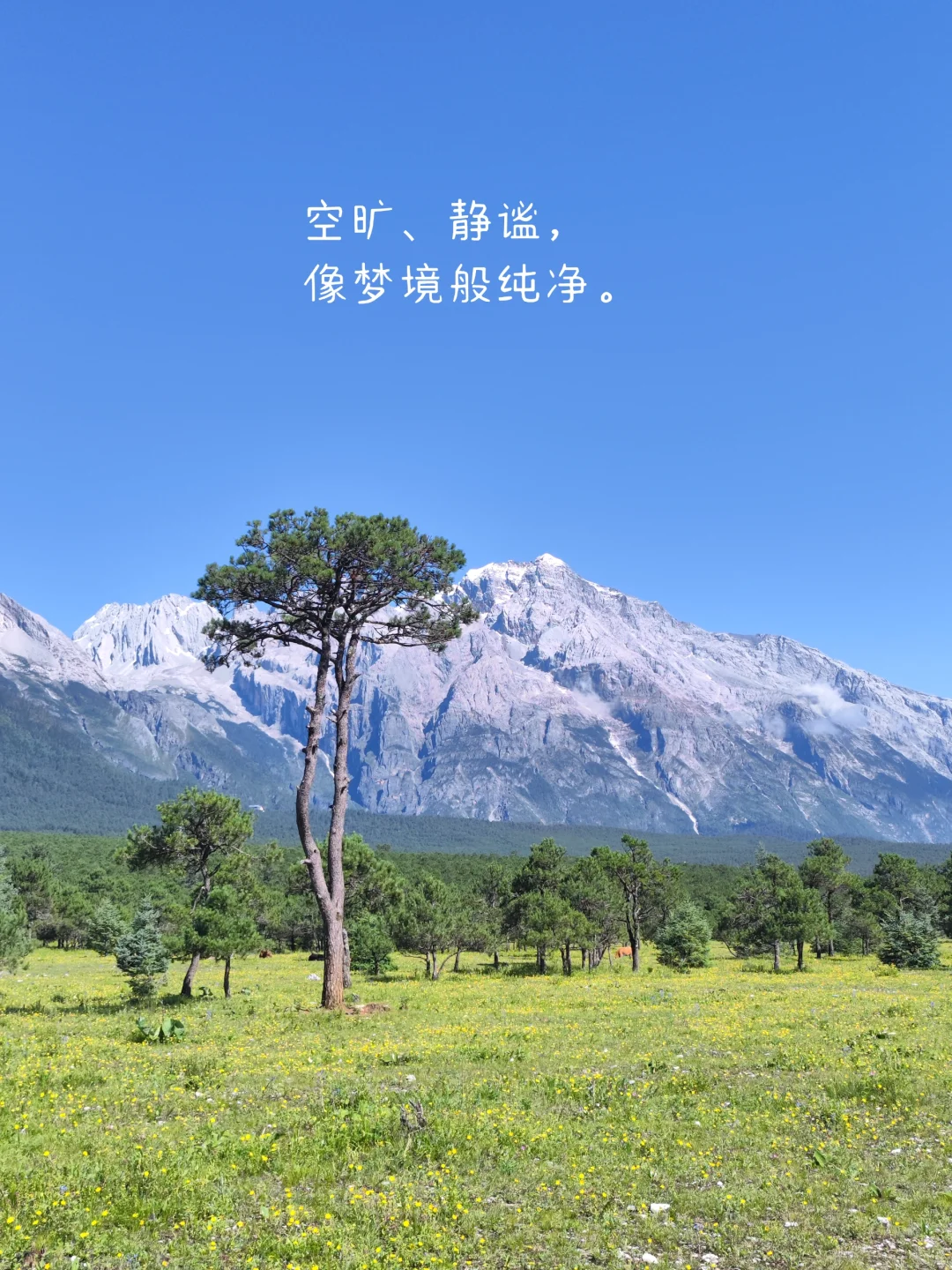 我时常都觉得幸福，常常笑出了声