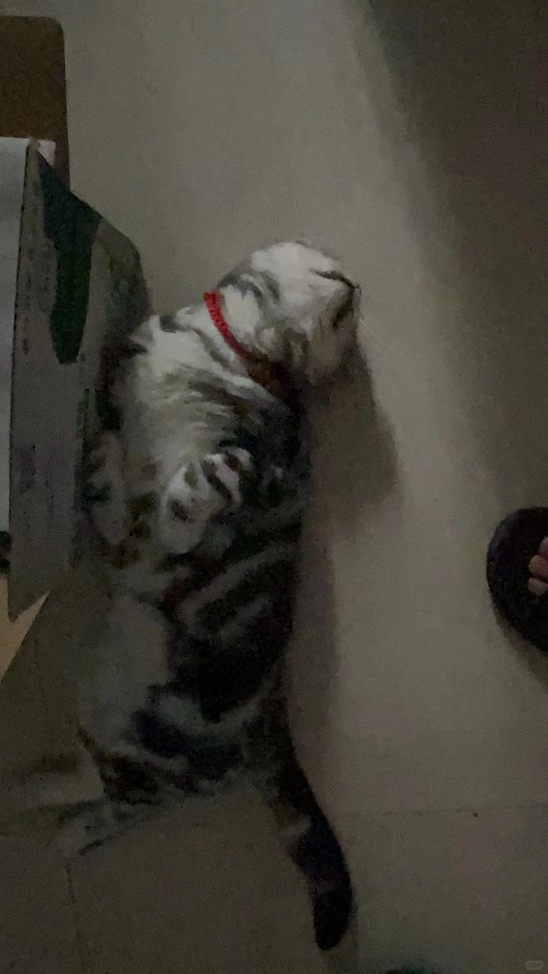 妖娆的睡姿。。。