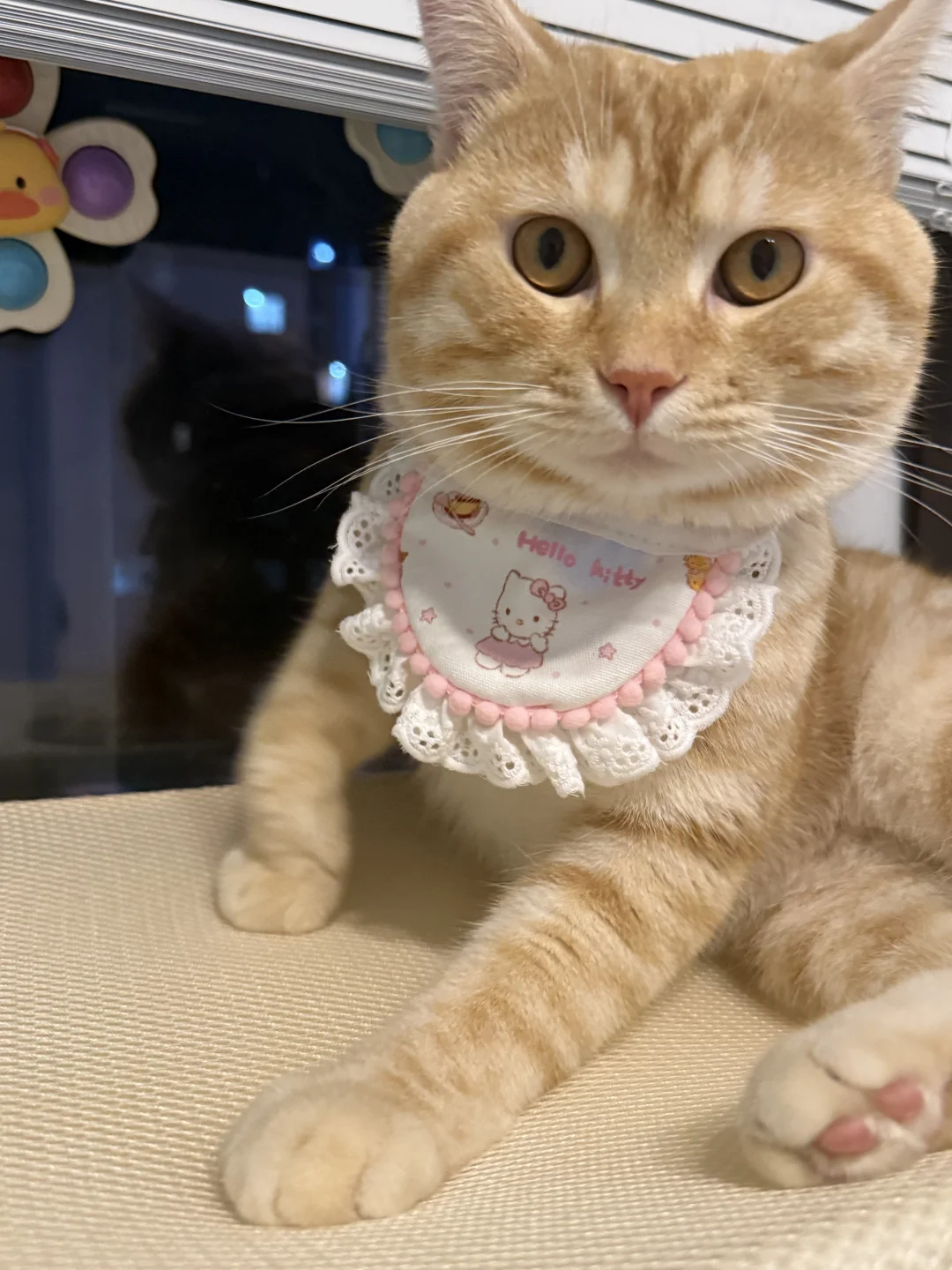 看咪妖娆的坐姿