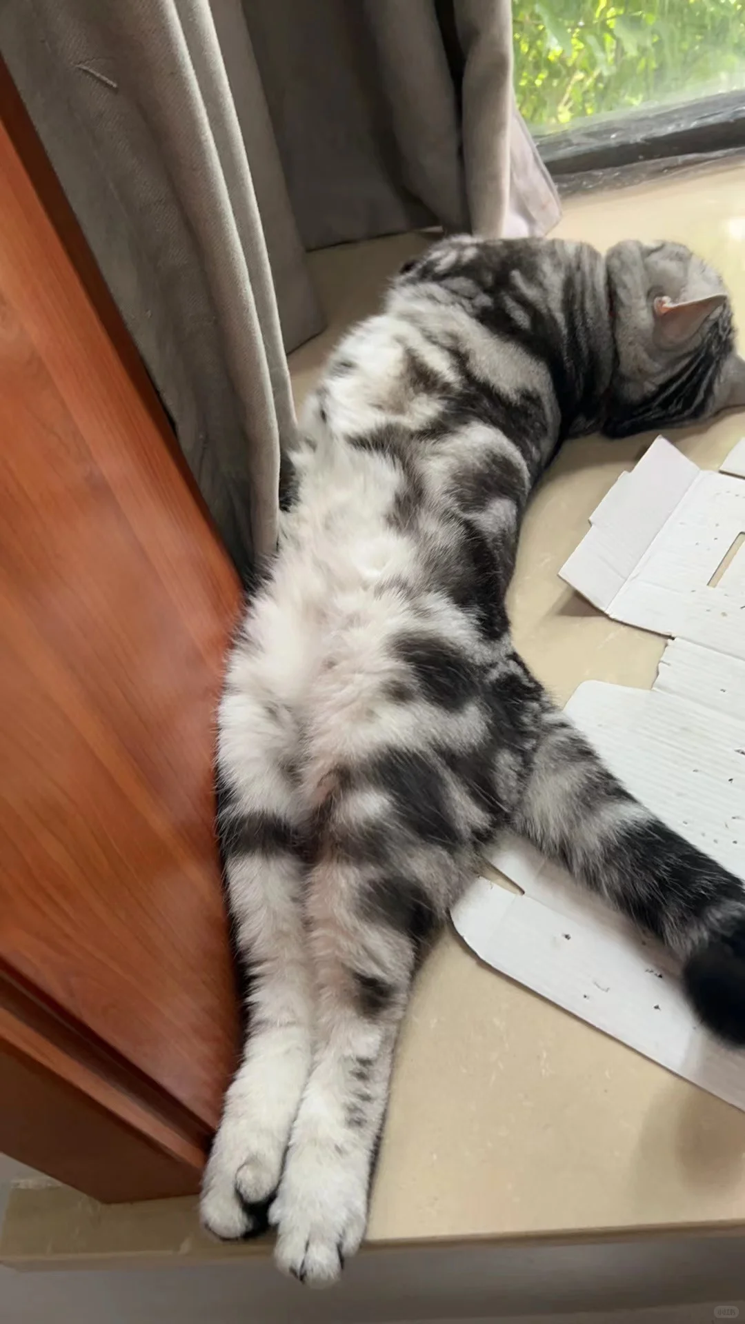 妖娆的睡姿。。。
