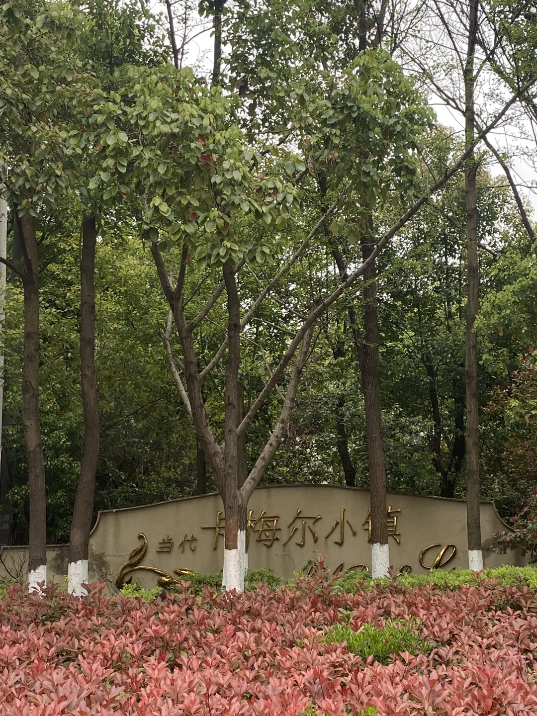 武汉看房第21天｜开始看二手房了