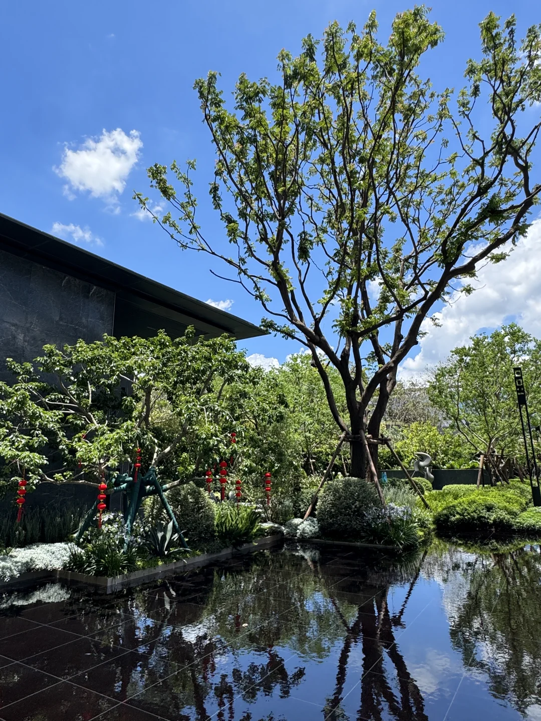 深圳98年收房Plog💜没想到拆了个惊喜盲盒!!