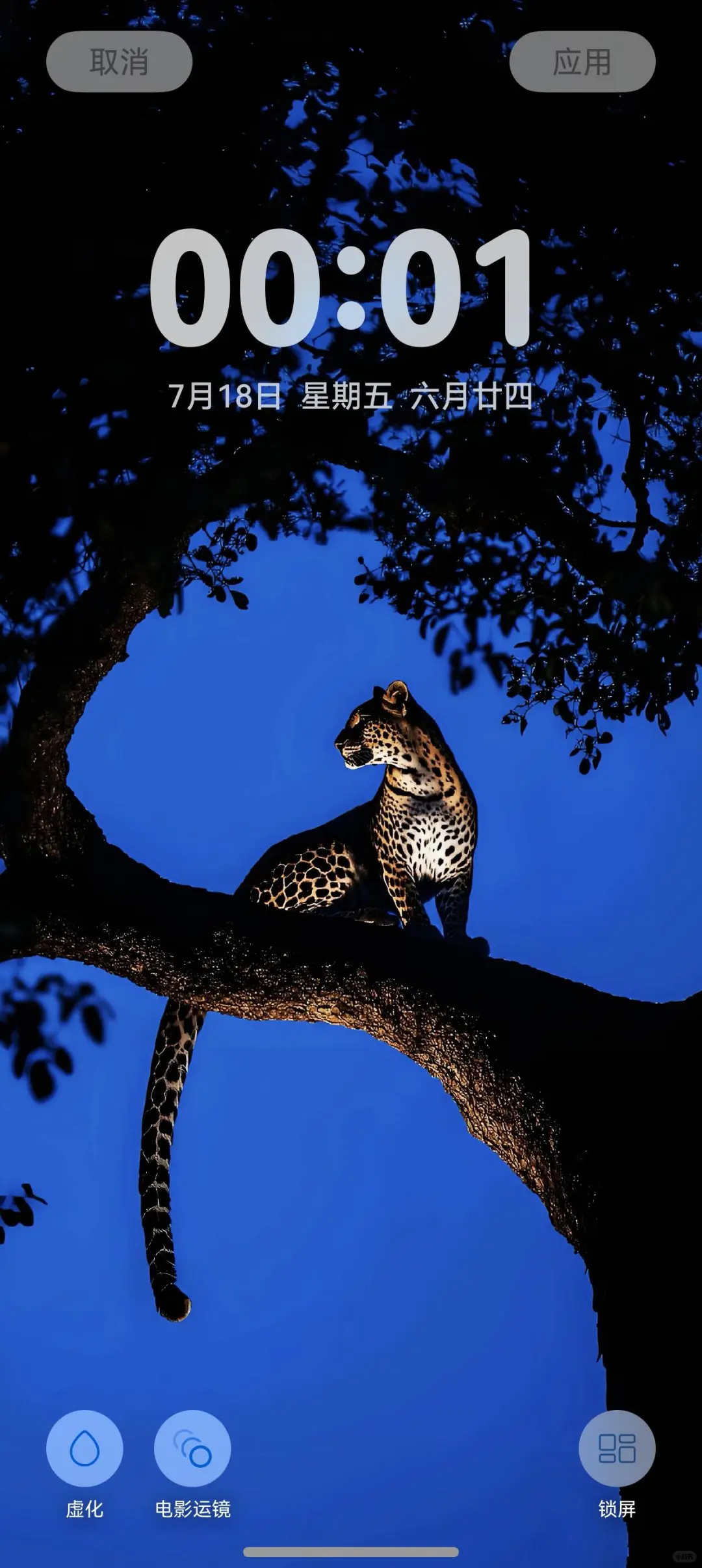 猎豹🐆高清氛围感壁纸｜手机+平板
