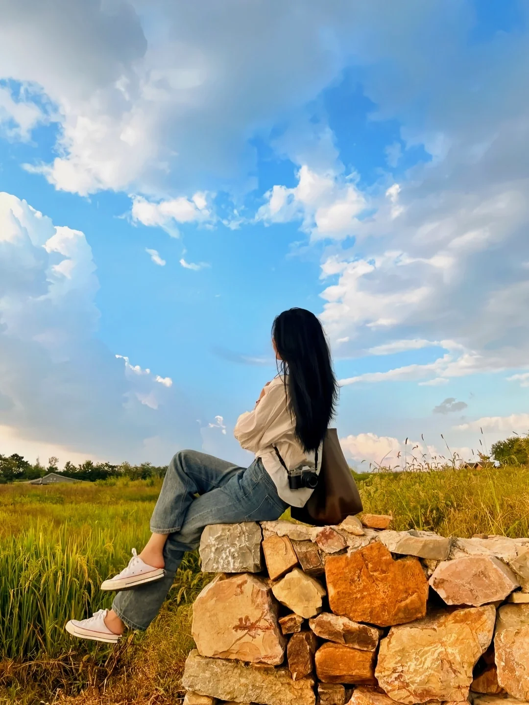 我就在这里，等风也等你