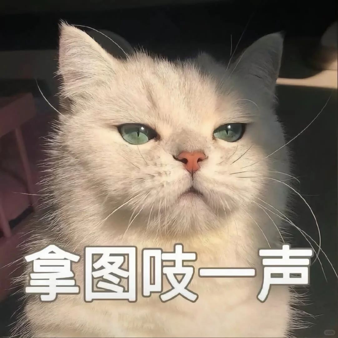 𝐒𝐡𝐚𝐫𝐞｜唯美背影女头