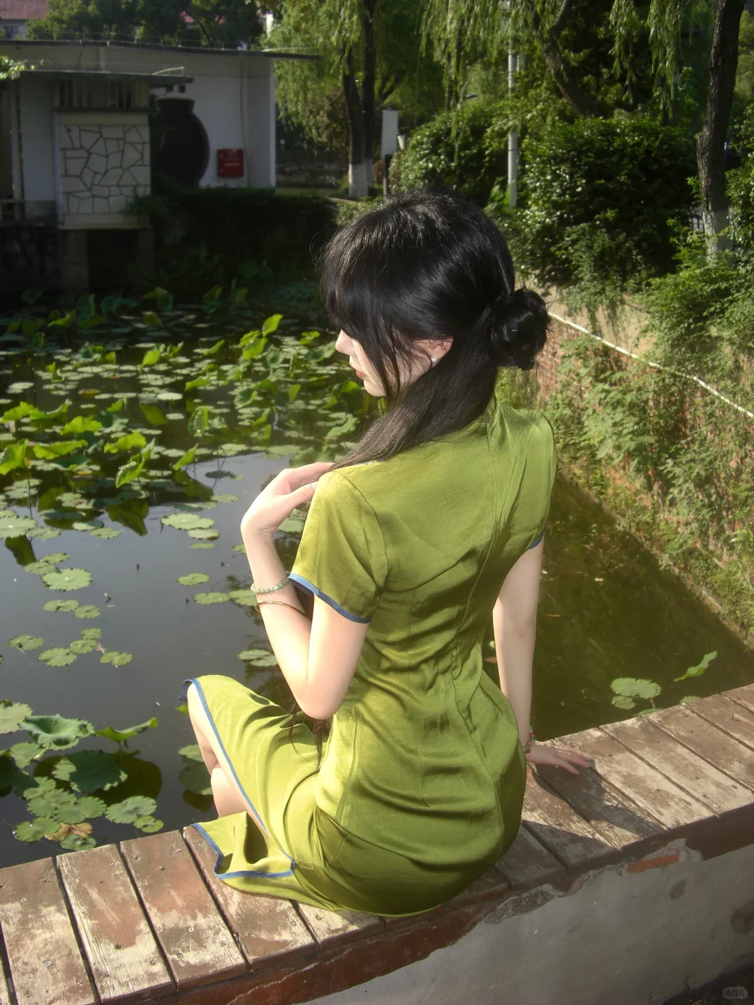荷塘遗梦 清风徐来🌿