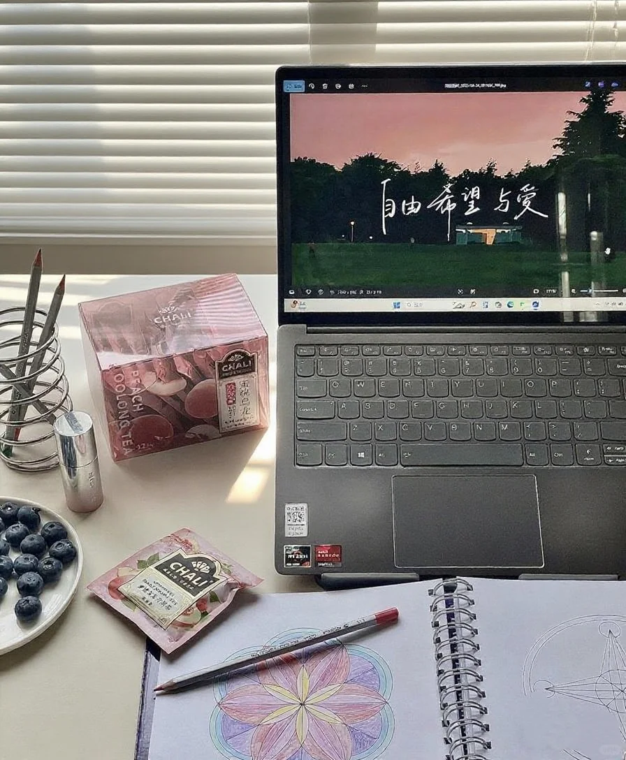 35+大龄地产人转型都去做了什么?