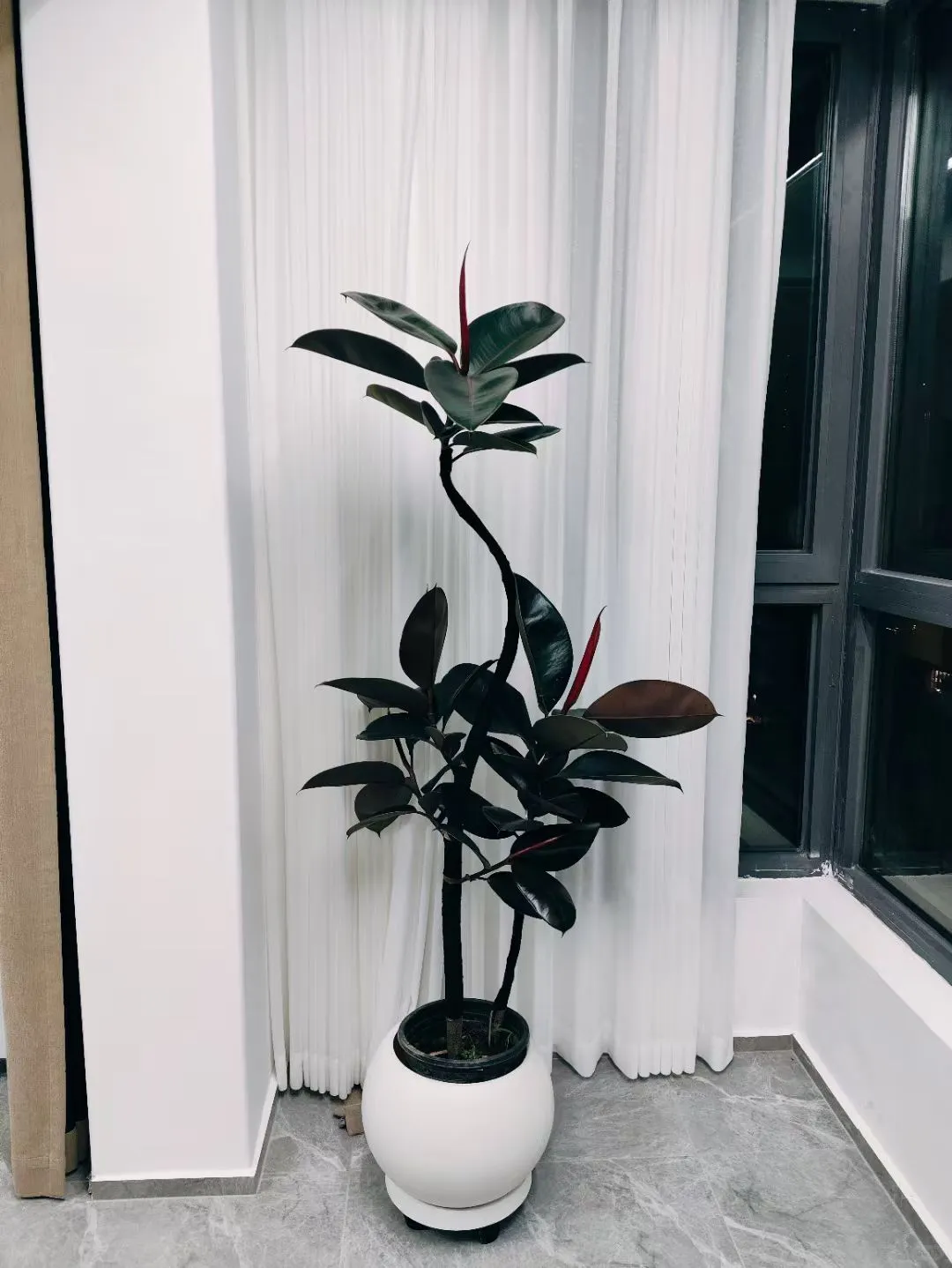 #中铁虹桥逸都租房 ＃新房出租＃找室友
