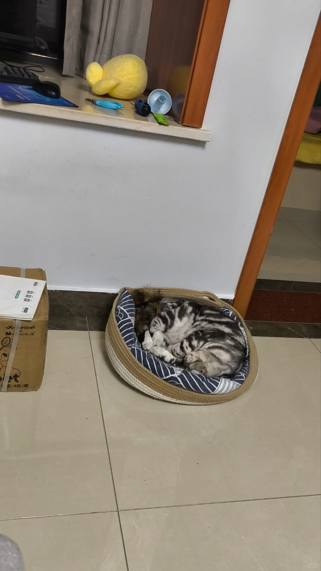 妖娆的睡姿。。。